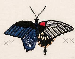Lucia Lavilla Havelin