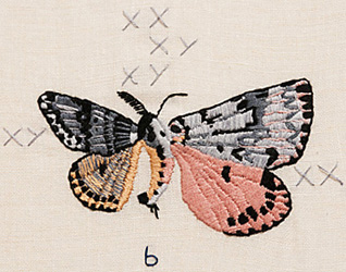 Lucia Lavilla-Havelin