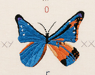 Lucia Lavilla Havelin