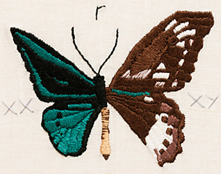 Lucia LaVilla Havelin